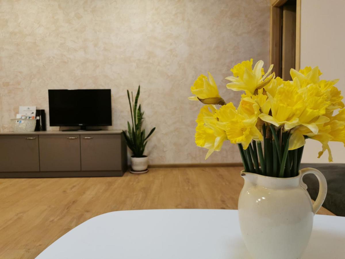 Central Apartments Nojus Ντρουσκινινκάι Εξωτερικό φωτογραφία