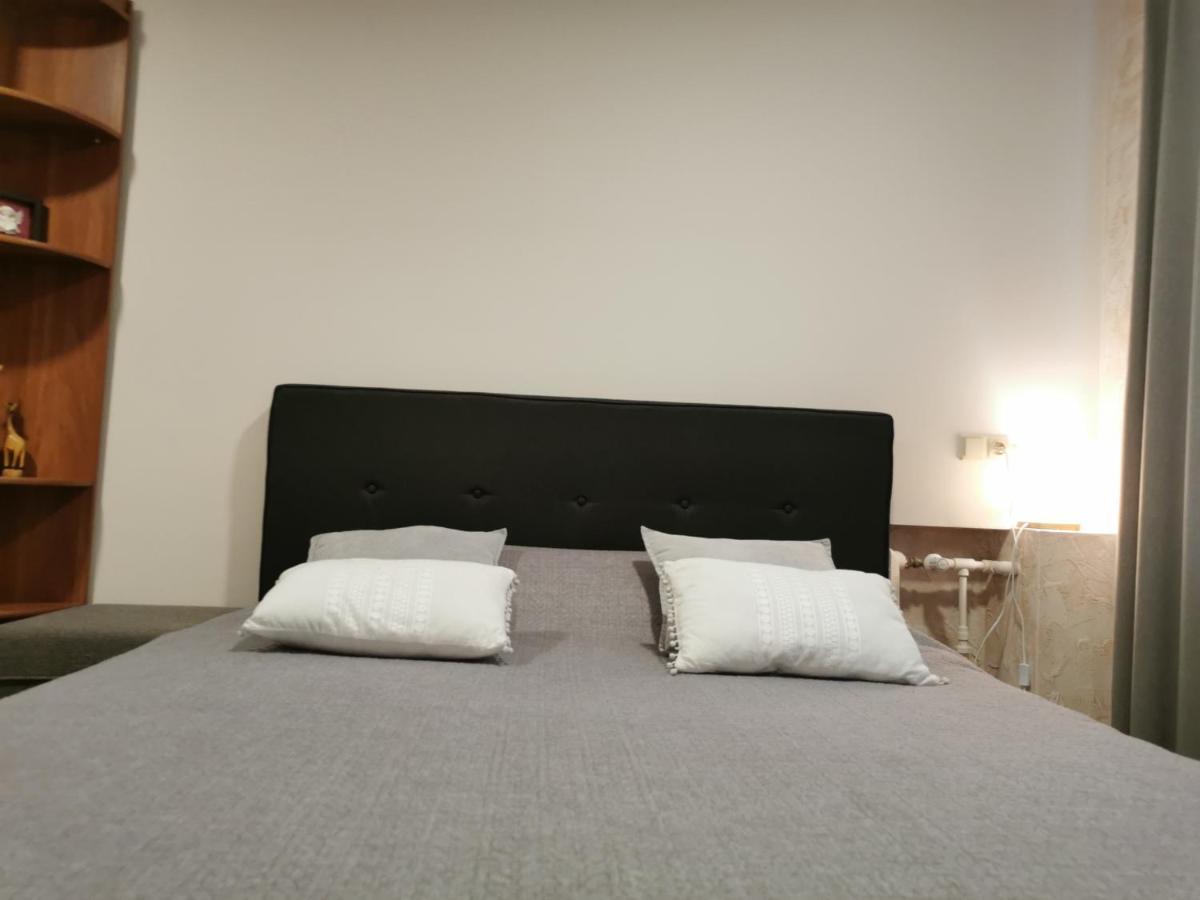 Central Apartments Nojus Ντρουσκινινκάι Εξωτερικό φωτογραφία